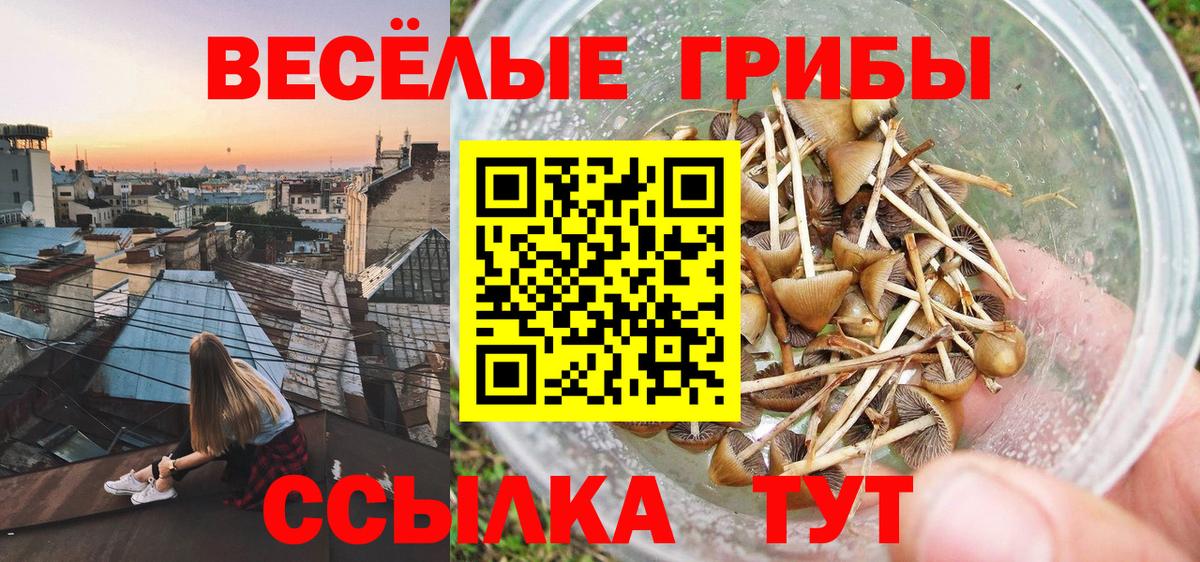 Белорецк  Псилоцибиновые грибы мицелий  Вход с VPN 
